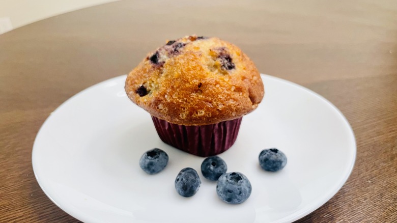 Blueberry Muffin on plate