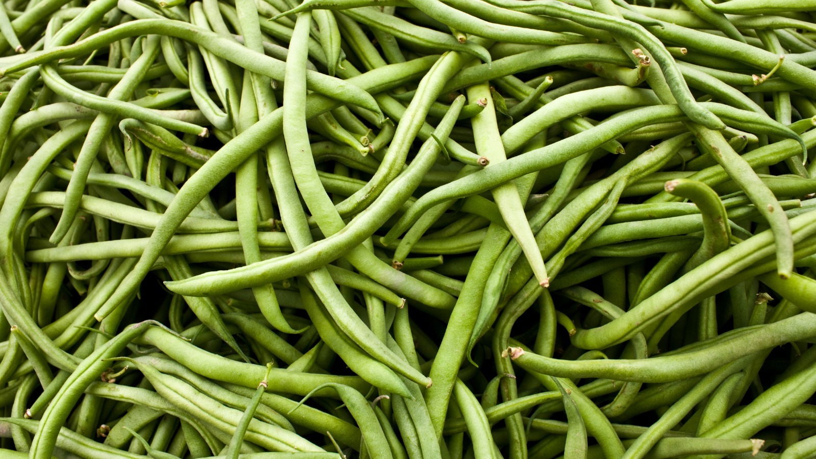 17-tips-you-need-when-cooking-with-green-beans