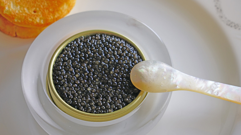 spoon leaning on caviar 