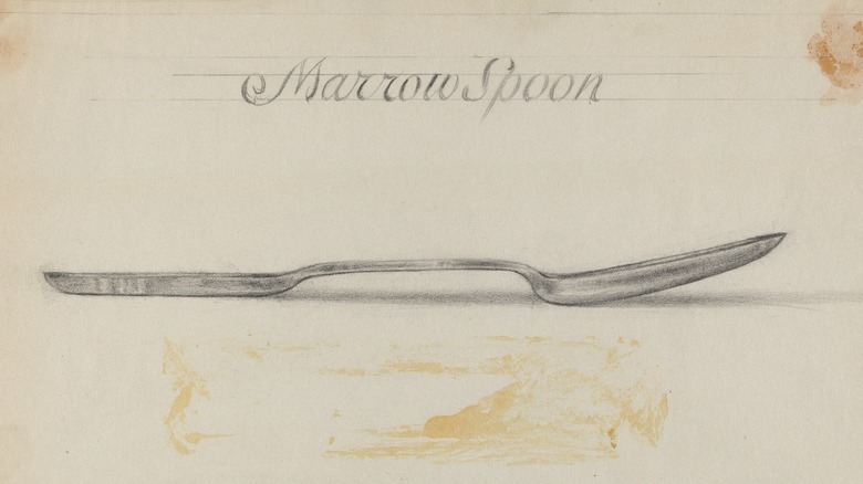 marrow spoon drawing 