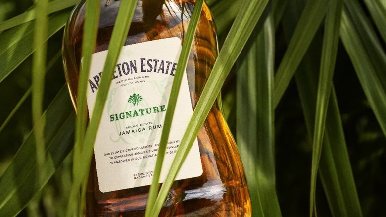 Appleton Estate rum in leaves