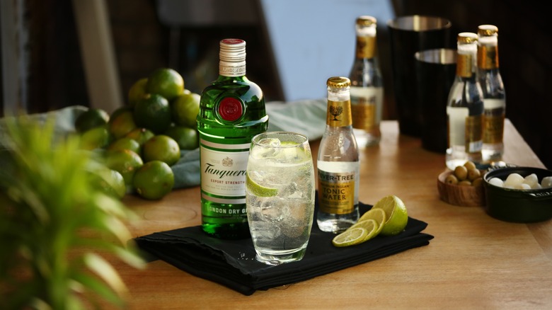 Tanqueray beside gin and tonic 