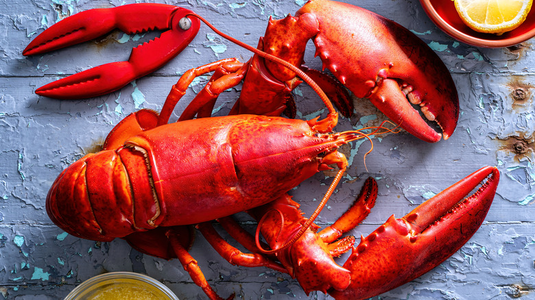 Cooked lobster on table