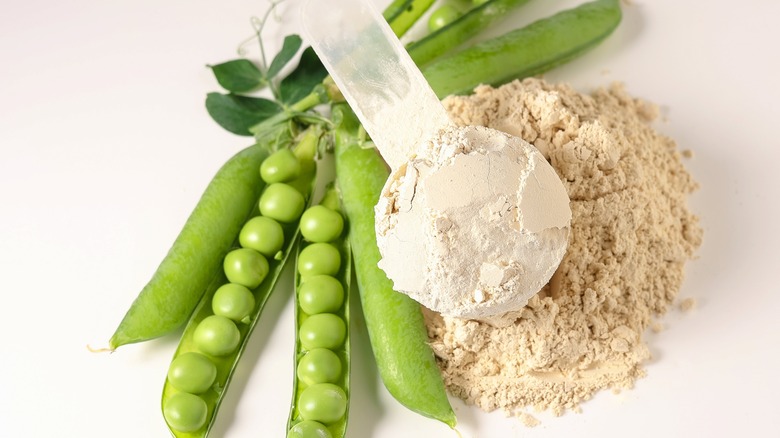 plant based pea protein powder