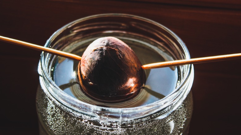 avocado pit suspended in jar