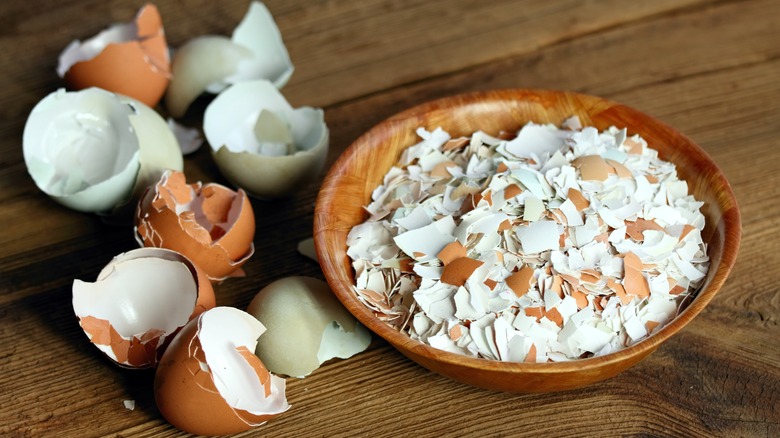 whole and crushed eggshells 