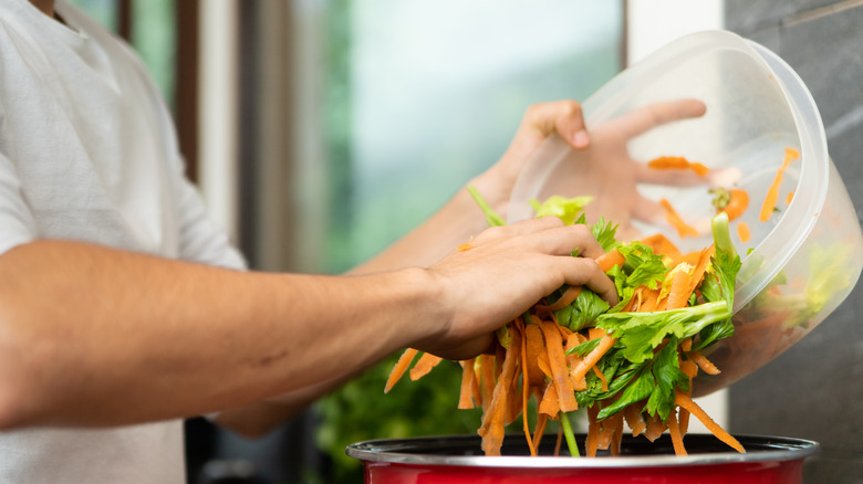 person handling veggie scraps