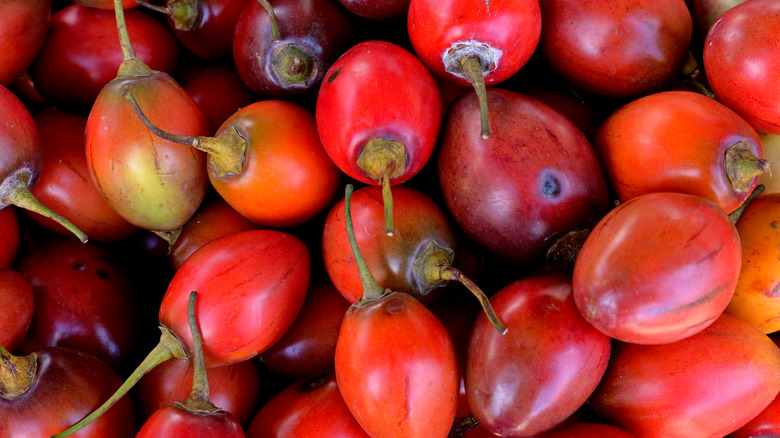 Tomato with stem