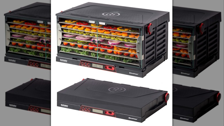 Brod & Taylor food dehydrator