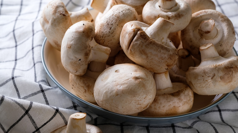 Raw fresh mushrooms in a bowl