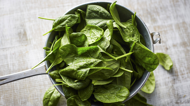 Fresh green spinach in a pot