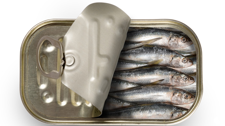 Can of sardines