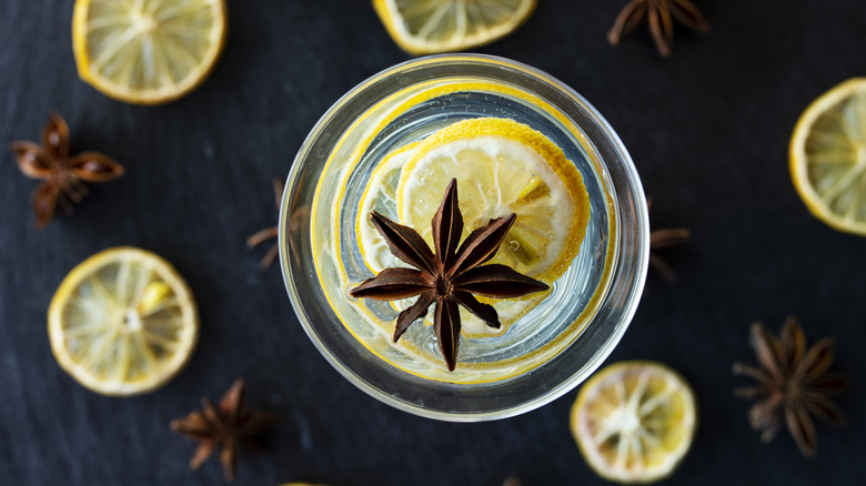 star anise gin tonic garnish