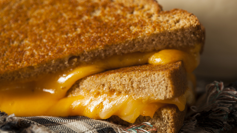 Grilled cheese sandwich with melted cheese oozing between slices of bread