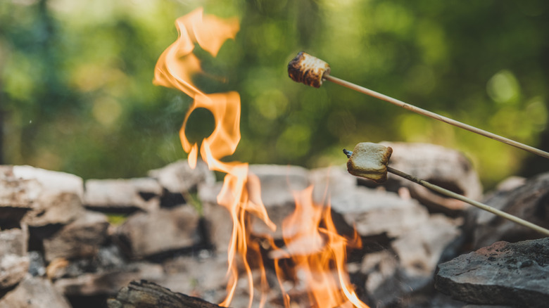 roasting marshmallows over campfire