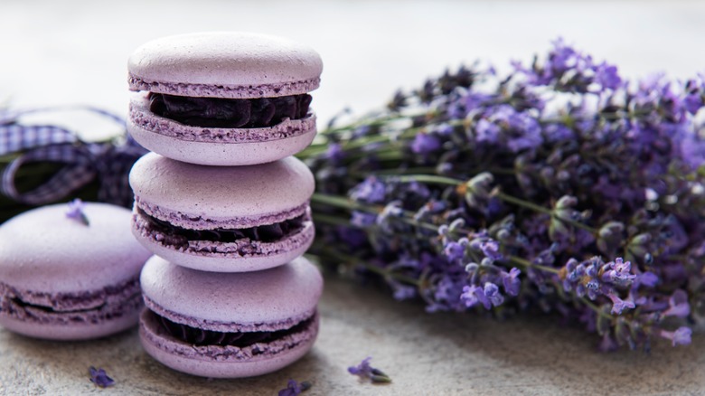 Lavender macarons