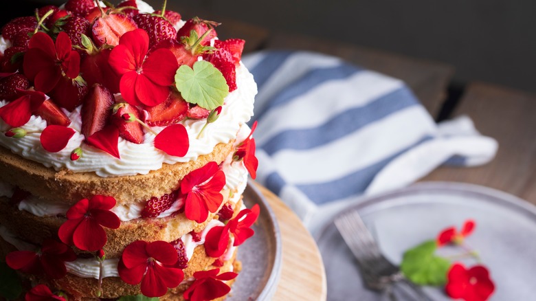 Biscuit cake with geranium flowers