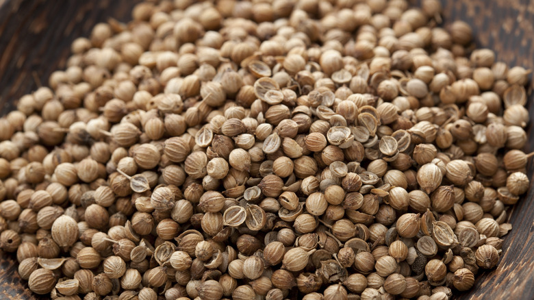 Coriander seeds in wooden bowl