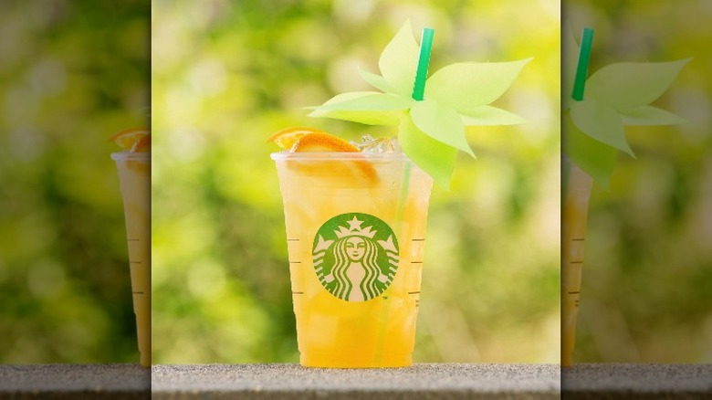 Valencia Orange Refreshers