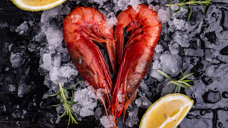 Gambero rosso shrimp with lemon