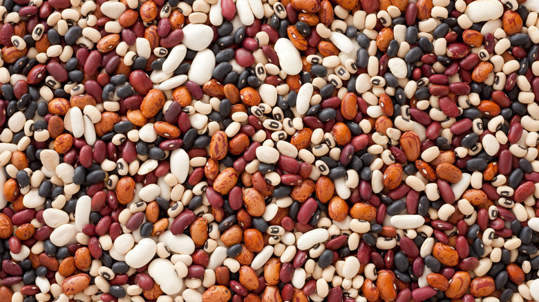 Variety of beans