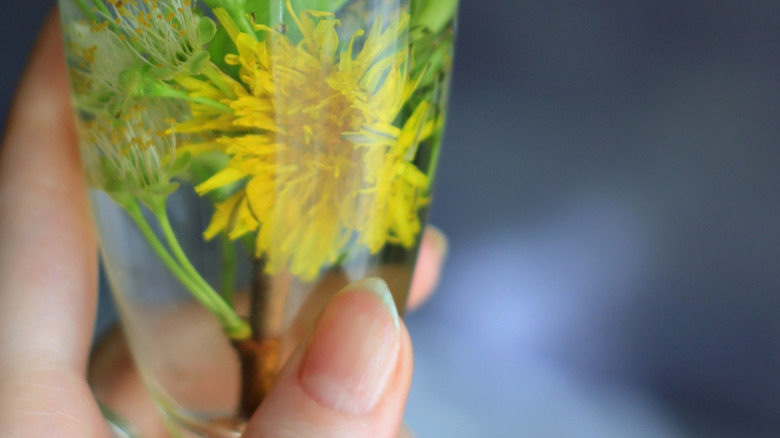 Dandelion flower in a cocktail held by a person's hand.