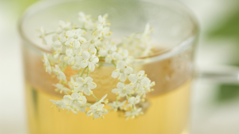 Elderflower garnish on a drink in a glass.
