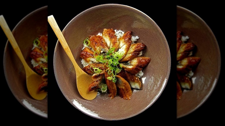 eel over rice with spoon