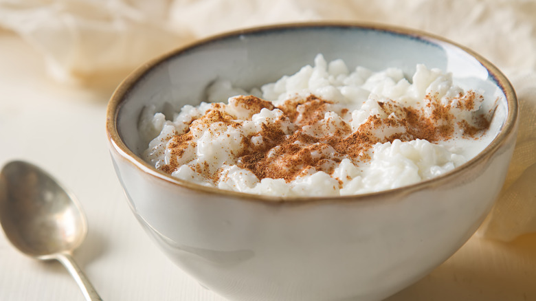 rice pudding bowl with cinnamon