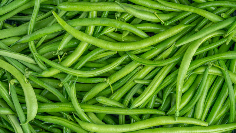 Fresh green beans