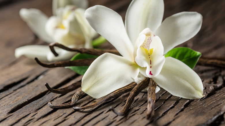 vanilla pods and flower