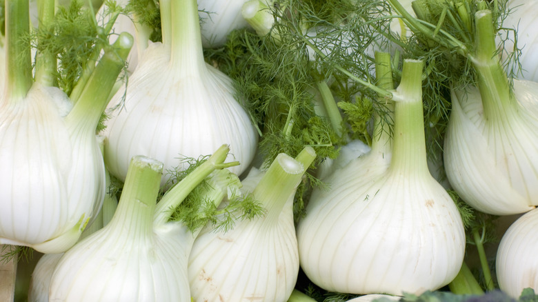 Fennel bulbs stacked on top of each other