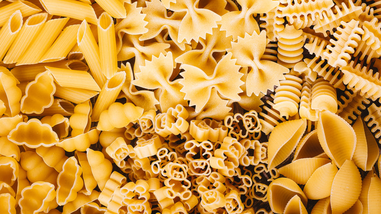 Different types of dried pasta