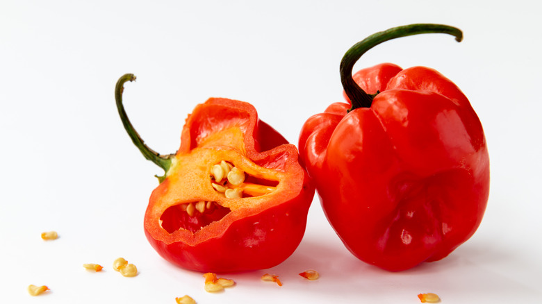 Scotch Bonnet peppers and seeds