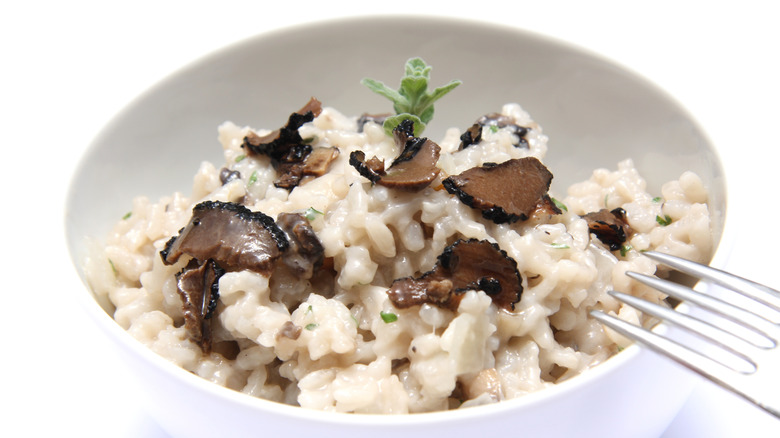 Truffle risotto in white bowl