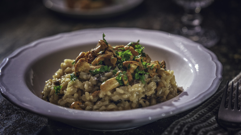 Mushroom risotto on a plate