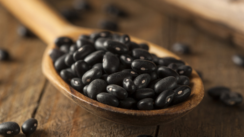 dried black beans on spoon