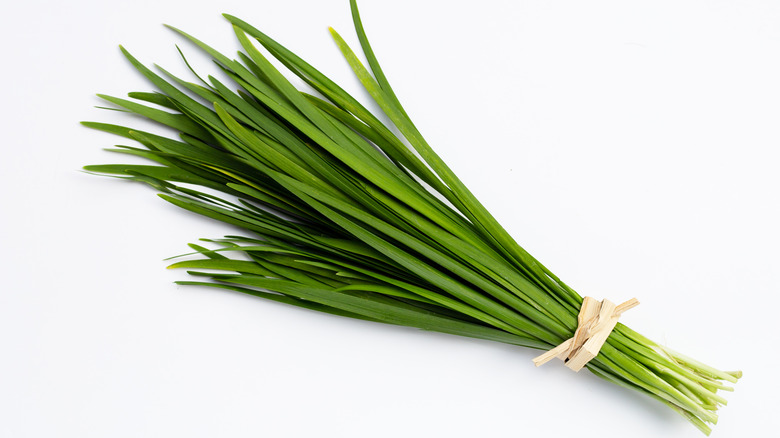 Bundle of chives
