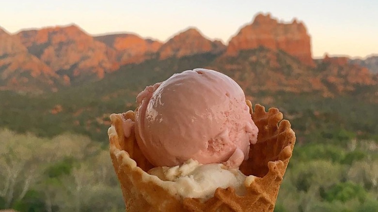 prickly pear ice cream in desert