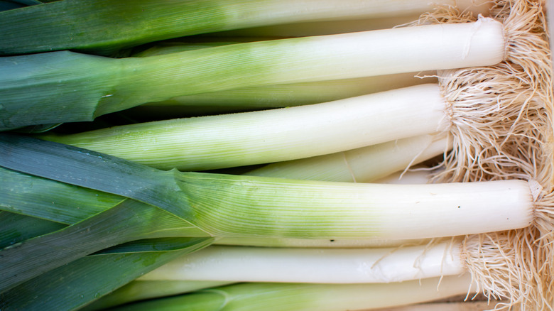 Bunch of whole green leeks in a bundle