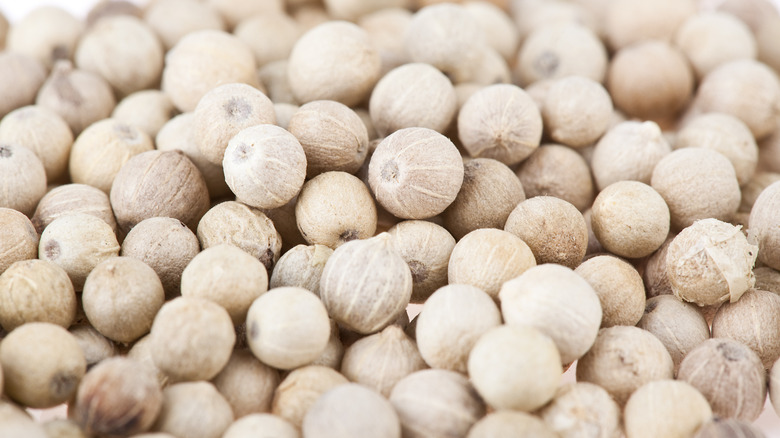 Macro of whole white peppercorns