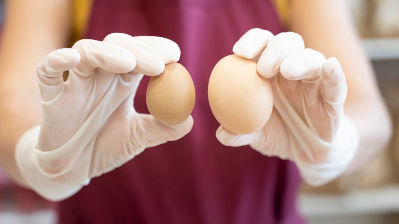 Hands holding two eggs