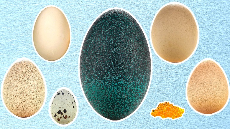 What is Japan Egg Worth?