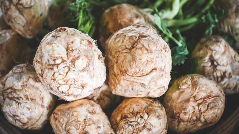 celeriac roots stacked in pile 