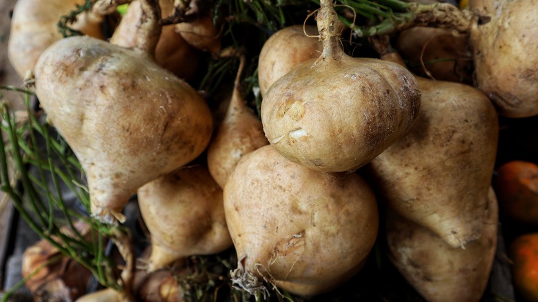 jicama bulbs in pile 