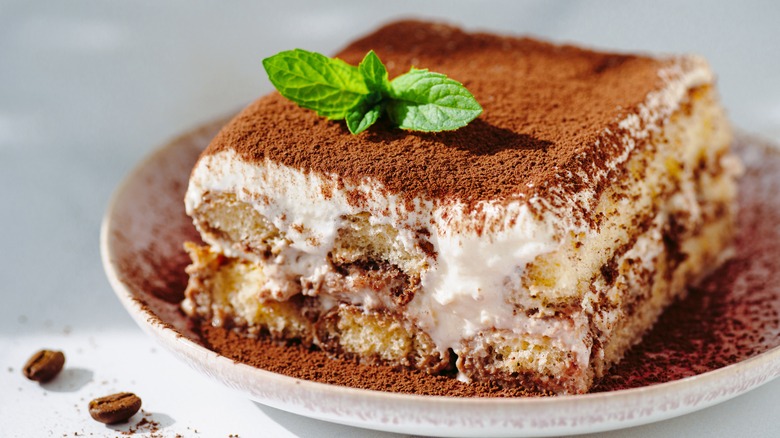 homemade tiramisu cake on plate