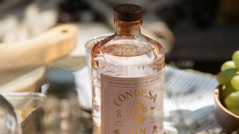 Bottle of Condesa Gin