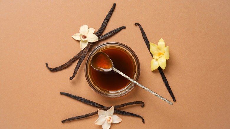 Dark brown vanilla extract in a bowl on an orange background, surrounded by vanilla beans and vanilla flowers