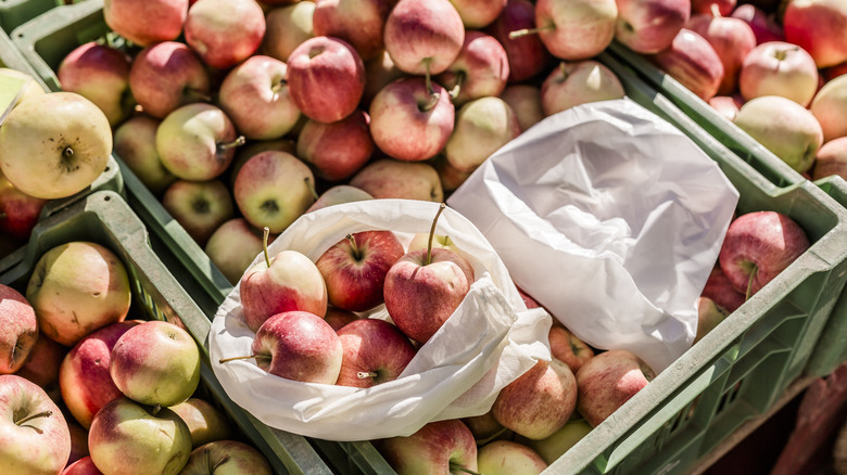 Bins of apples at store