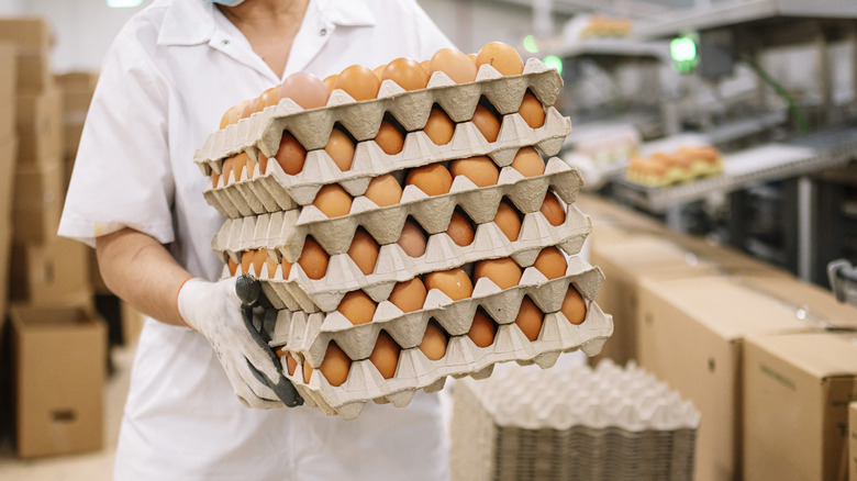 Person carrying bulk eggs